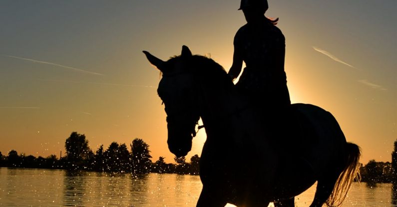 Ride - Silhouette of Person Riding Horse on Body of Water Under Yellow Sunset