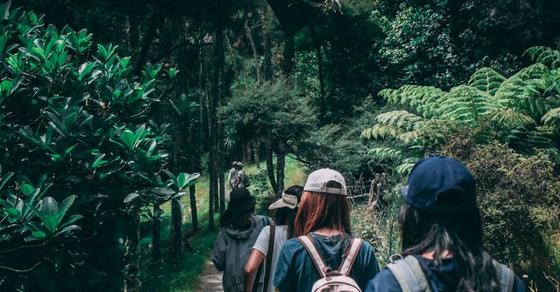 Trip - People Wearing Backpacks Walking on Pathway Near Green Leaf Plants