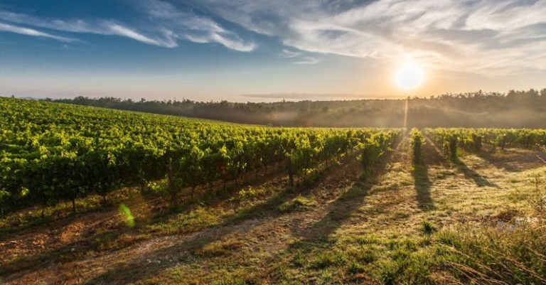 Tuscany - Farm Land during Sunset